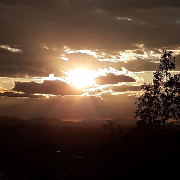 Meet your Posher, Diana - Picture 3 of 3